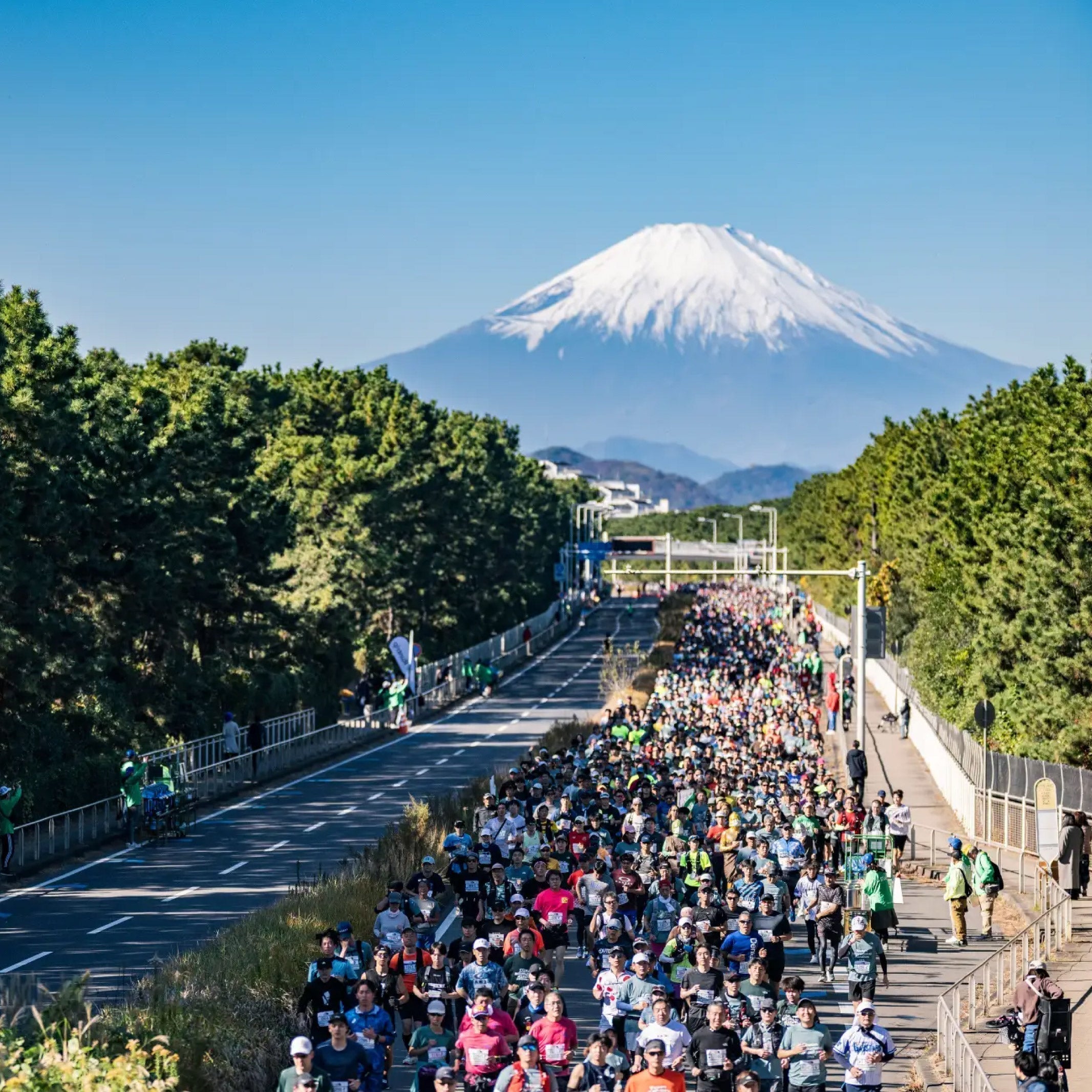 MNインターファッション、湘南国際マラソン2025に今年も協賛・出店!サステナブルアイテムを展開