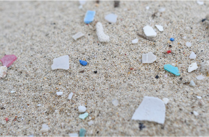漂着したプラスチック破片のイメージ